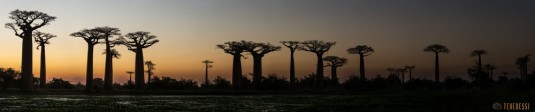 n539/tsingy.trek.madagascar.bemaraha.panoramique.8.jpg