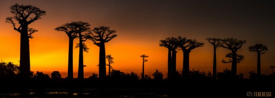 n539/tsingy.trek.madagascar.bemaraha.panoramique.9.jpg