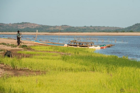 n540/riz.decrue.tsingy.madagascar.bemaraha.9.jpg