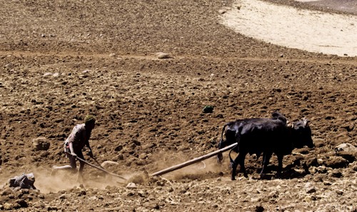 n58/terres.ethiopie.accaparement.1.jpg