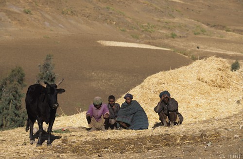 n58/terres.ethiopie.accaparement.3.jpg