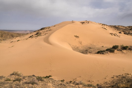 n581/mongolie.trek.gobi.8.jpg