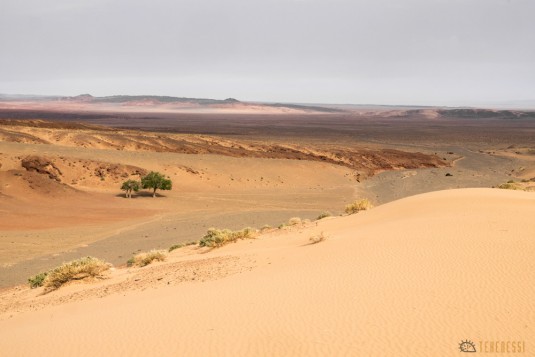 n581/mongolie.trek.gobi.9.jpg