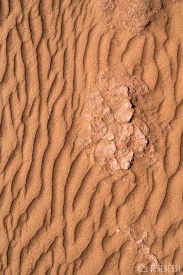 n600/mongolie.sable.gobi.4.jpg