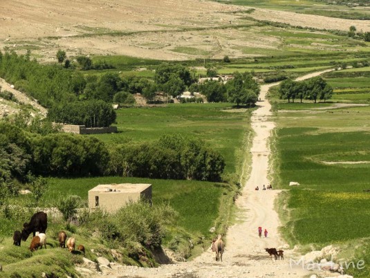 n616/afghanistan.wakhan.martine.2016.5.jpg