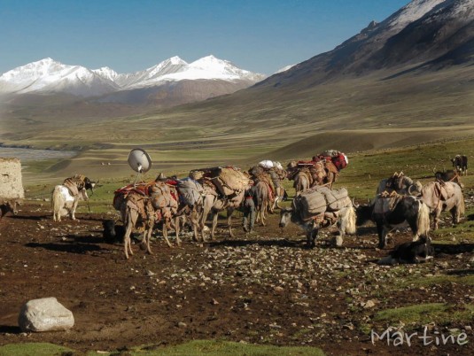 n618/afghanistan.wakhan.martine.2016.50.jpg