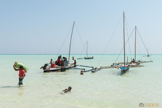 n621/madagascar.pays.vezo.sud.laurent.boiveau.113.jpg