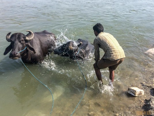 n642/Bhadrapur.Mechi.TraverseI.e.NeI.pal.10.jpg