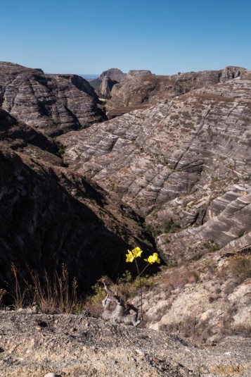 n660/Makay.trek.Madagascar.2017.exploration.11.jpg