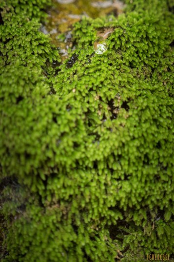 n660/Makay.trek.Madagascar.2017.exploration.14.jpg