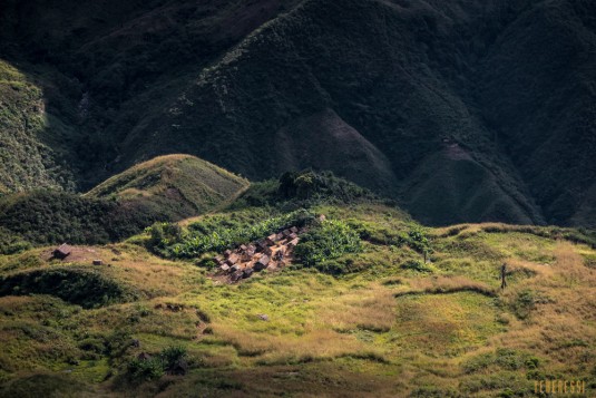 n661/Sakaleona.trek.Madagascar.Tanalana.Zafimaniry.hauts.plateaux.10.jpg