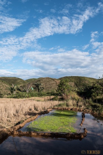 n661/Sakaleona.trek.Madagascar.Tanalana.Zafimaniry.hauts.plateaux.14.jpg