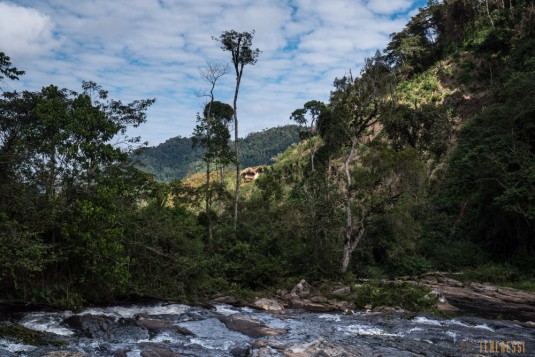 n661/Sakaleona.trek.Madagascar.Tanalana.Zafimaniry.hauts.plateaux.8.jpg