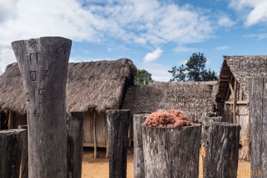 n664/Tangalamena.Madagascar.trek.8.jpg