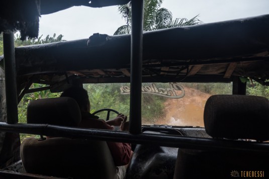 n666/Madagascar.Unimog.hauts.plateaux.3.jpg