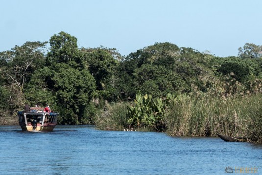 n667/Madagascar.Canal.Pangalane.sud.trek.Sakaleona.20.jpg