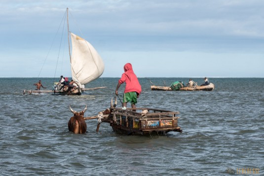 n676/Madagascar.camp.Vezo.2017.4.jpg