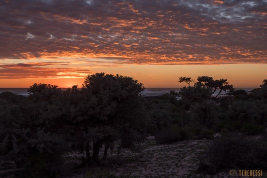 n676/Madagascar.camp.Vezo.2017.8.jpg