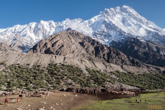 n708/Trek.Nanga.Parbat.Pakistan.Mazeno.pass.Diamir.3.jpg