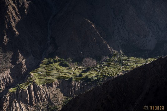 n708/Trek.Nanga.Parbat.Pakistan.Mazeno.pass.Diamir.8.jpg