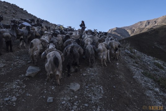 n713/Trek.Saipal.Api.Himal.Nepal.Far.West.Simikot.4.jpg