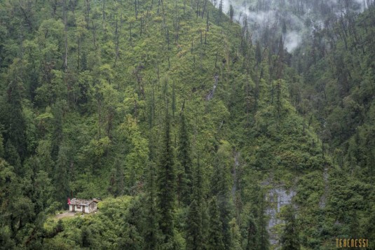 n718/Laurent.Boiveau.nepal.photo.pluie.1.jpg