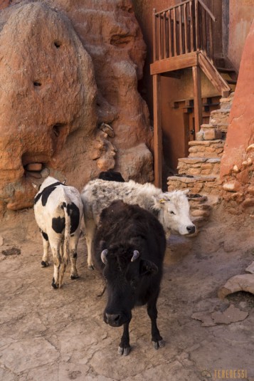 n726/Lo.Manthang.Mustang.Nepal.3.jpg