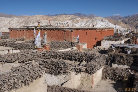 n726/Lo.Manthang.Mustang.Nepal.4.jpg