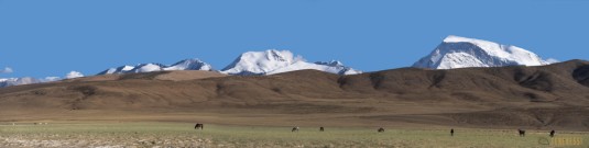 n764/Gurla.Mandhata.Kailash.Tibet.ski.expedition.trek.5.jpg