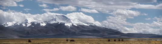 n764/Gurla.Mandhata.Kailash.Tibet.ski.expedition.trek.7.jpg