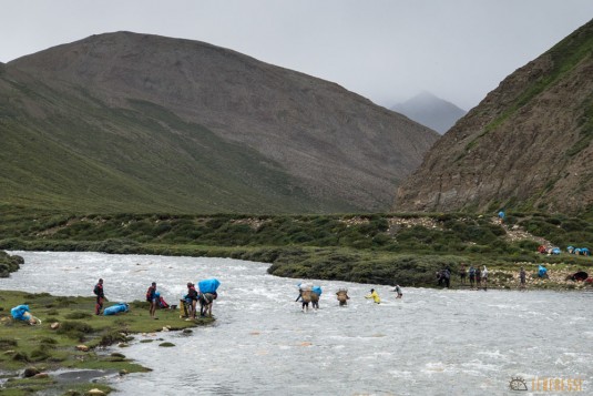 n770/Haut.Dolpo.trek.Tamera.Kekyap.Mousson.3.jpg