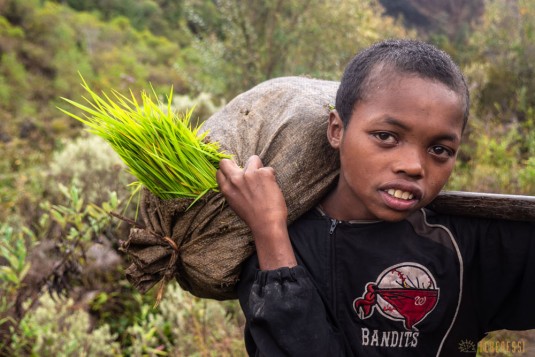 n779/Sakaleona.Madagascar.trek.3.jpg