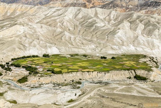 n841/Nepal.Haut.dolpo.Rara.Mugu.Kekyap.Lo.Manthang.Boiveau.Cheese.Bhijjer.fromage.7.jpg