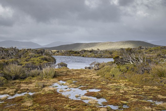 n862/Te.Araroa.trek.NZ.LBOIVEAU.509.jpg