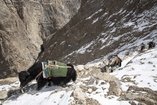 n905/Shimshal.Lukpe.la.Snow.lake.Biafo.Ski.expedition.5.jpg