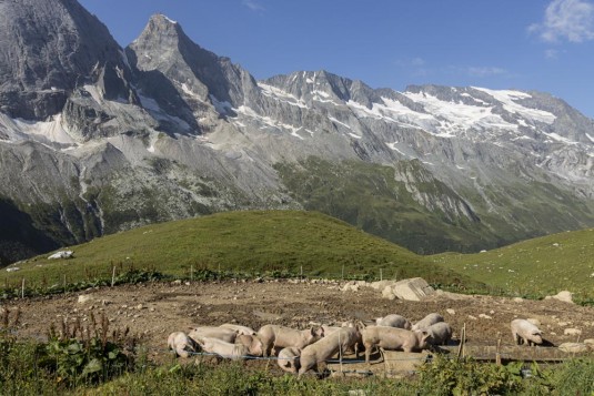 n943/Grand.Tour.Vanoise.18.jours.Laurent.Boiveau.Tekenessi.18.jpg