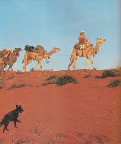 tracks.robyn.davidson.3
