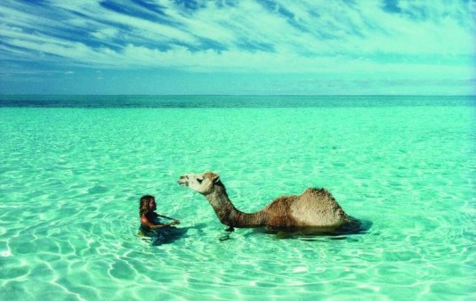tracks.robyn.davidson.4