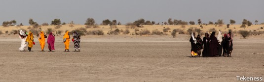 n260/tchad.ennedi.course.dromadaire.1.jpg