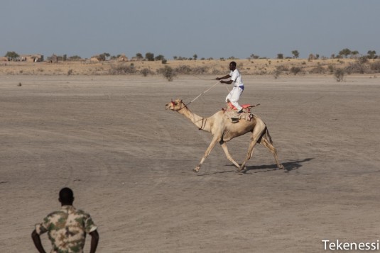 n260/tchad.ennedi.course.dromadaire.4.jpg