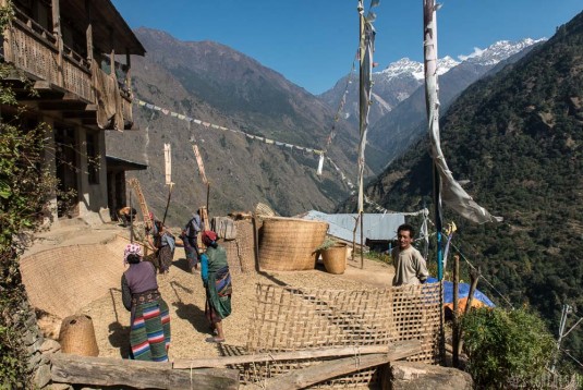 n367/trek.langtang.gosainkund.j8.3.jpg
