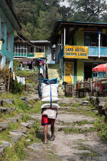 n367/trek.langtang.gosainkund.j8.6.jpg