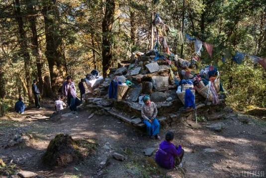 n369/trek.langtang.gosainkund.j9.6.jpg